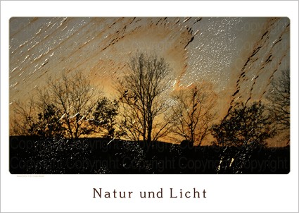 A3 BildartE.N. Geburtstagskalender Natur und Licht